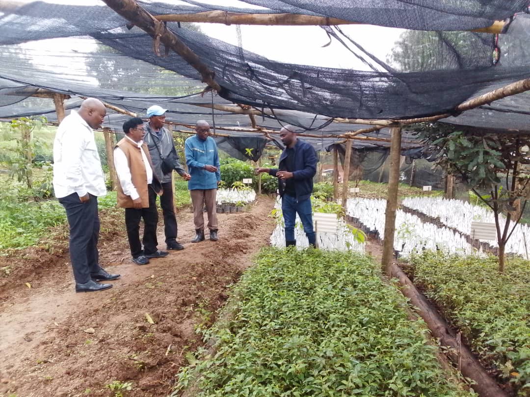 luxdev leaders visited the NHSP Company Limited in the framework of collaboration between two institutions
